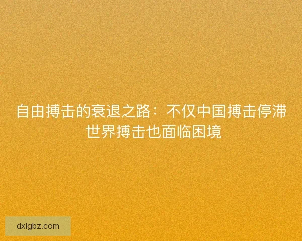 自由搏击的衰退之路：不仅中国搏击停滞 世界搏击也面临困境