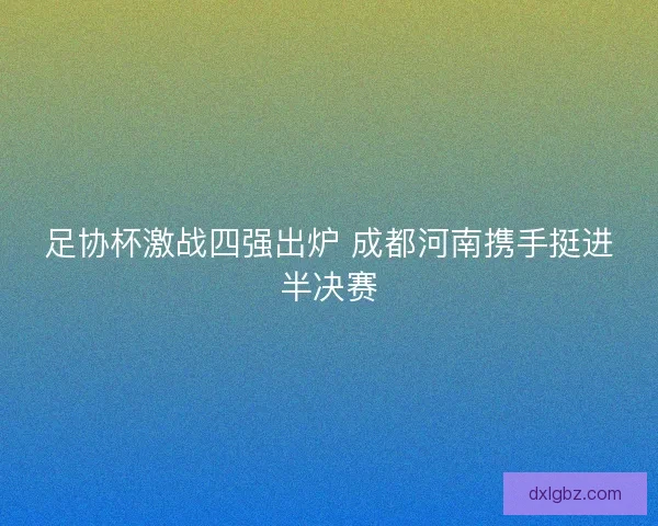 足协杯激战四强出炉 成都河南携手挺进半决赛