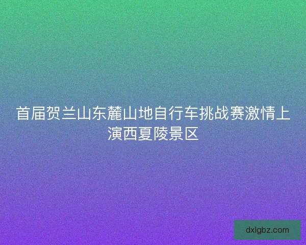 首届贺兰山东麓山地自行车挑战赛激情上演西夏陵景区 首届贺兰山东麓山地自行车挑战赛激情上演西夏陵景区
