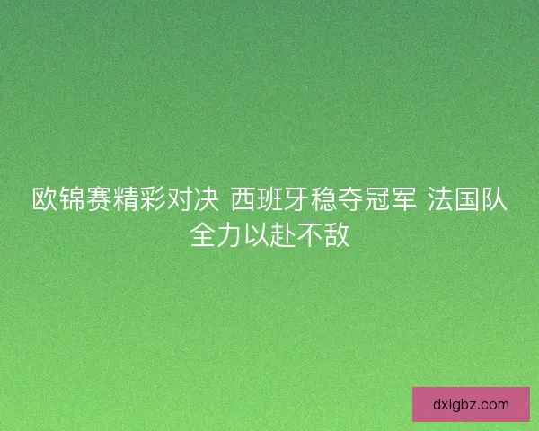 欧锦赛精彩对决 西班牙稳夺冠军 法国队全力以赴不敌 欧锦赛精彩对决 西班牙稳夺冠军 法国队全力以赴不敌